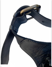 Load image into Gallery viewer, Cookie’s pax hip-hugger bag