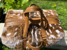 Load image into Gallery viewer, Axis faux and genuine leather, (Large)
