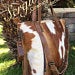 Load image into Gallery viewer, Cowhide tote Leather bag, Crossbody.