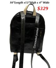 Load image into Gallery viewer, Sergios featuring the art work of talented Kathy Sigle artist, backpack